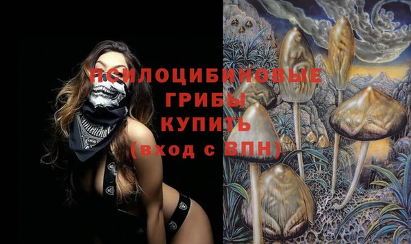 мдпв Михайловка